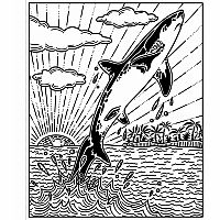 Sharks Magic Painting Book