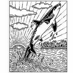 Sharks Magic Painting Book
