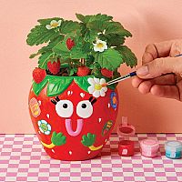 Paint & Grow Strawberry Kit