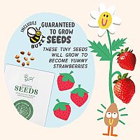 Paint & Grow Strawberry Kit