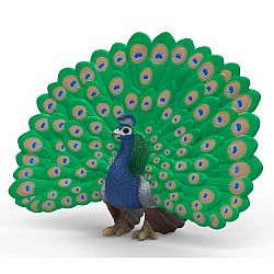 Peacock Figure