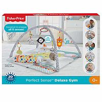 Perfect Sense Deluxe Gym