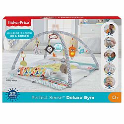 Perfect Sense Deluxe Gym