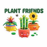 Hey Clay Plant Friends
