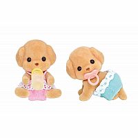 Toy Poodle Twins