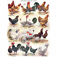 Poultry 500 Piece Puzzle