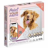 Paint By Number Your Photo Pets