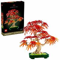 Japanese Red Maple Bonsai Tree