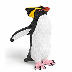 Rockhopper Penguin
