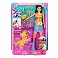 Barbie Skate and Run Brunette w/ Puppy