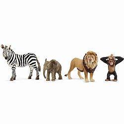 Wild Life Africa Starter Set
