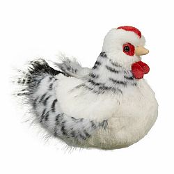 Salty Black White Hen