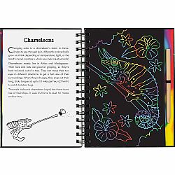 Scratch & Sketch Reptiles & Amphibians