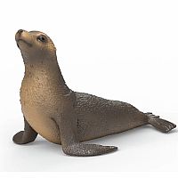 Sea Lion