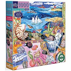 Seashells By the Shore (1000 Piece Puzzle)