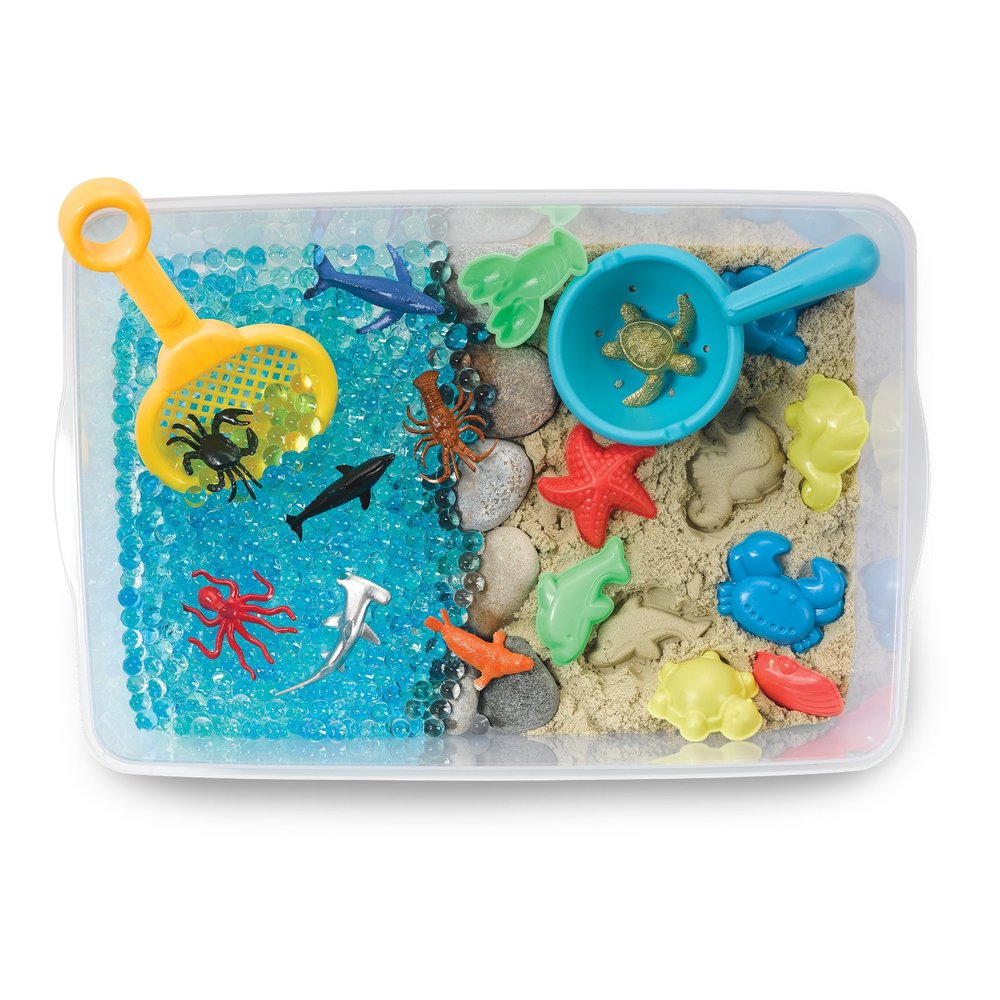 Discovery Box for Sensory Play Ocean Exploration 