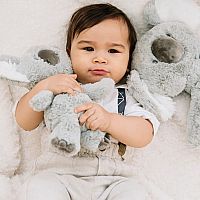 Baby Toothpick Shay Koala, 12 In