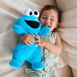 Oh So Snuggly Cookie Monster 12"