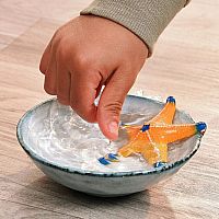 Starfish Color Change