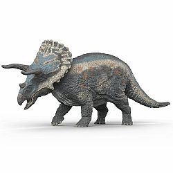 Triceratops
