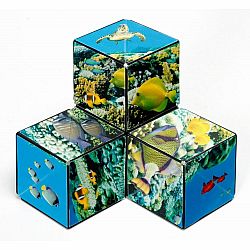 Shashibo Cube Undersea