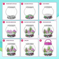 Light Up Unicorn Terrarium Kit