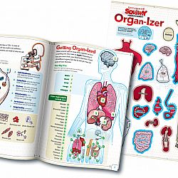 Ultimate Squishy Human Body