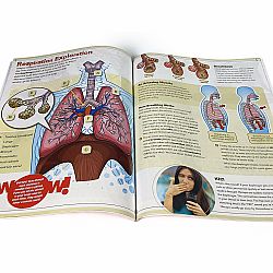 Ultimate Squishy Human Body