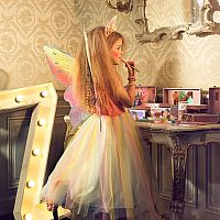 Valerie Dress 5/7 with Wings
