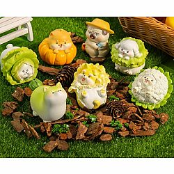 Veggie Dog Blind Box